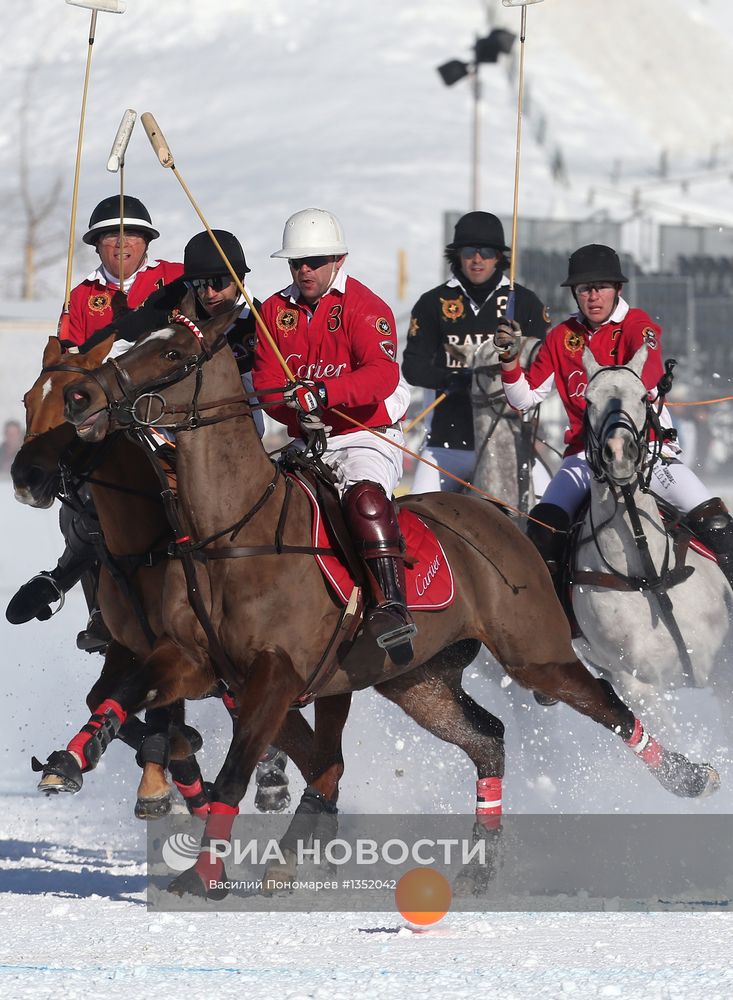 Конное поло на снегу. Чемпионат мира