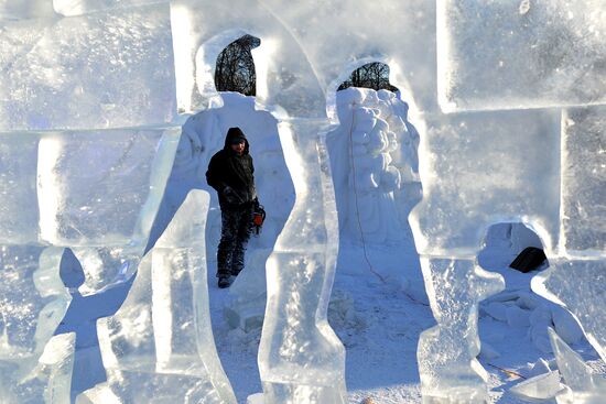 Ледяное шоу снежных скульптур в парке "Кузьминки"