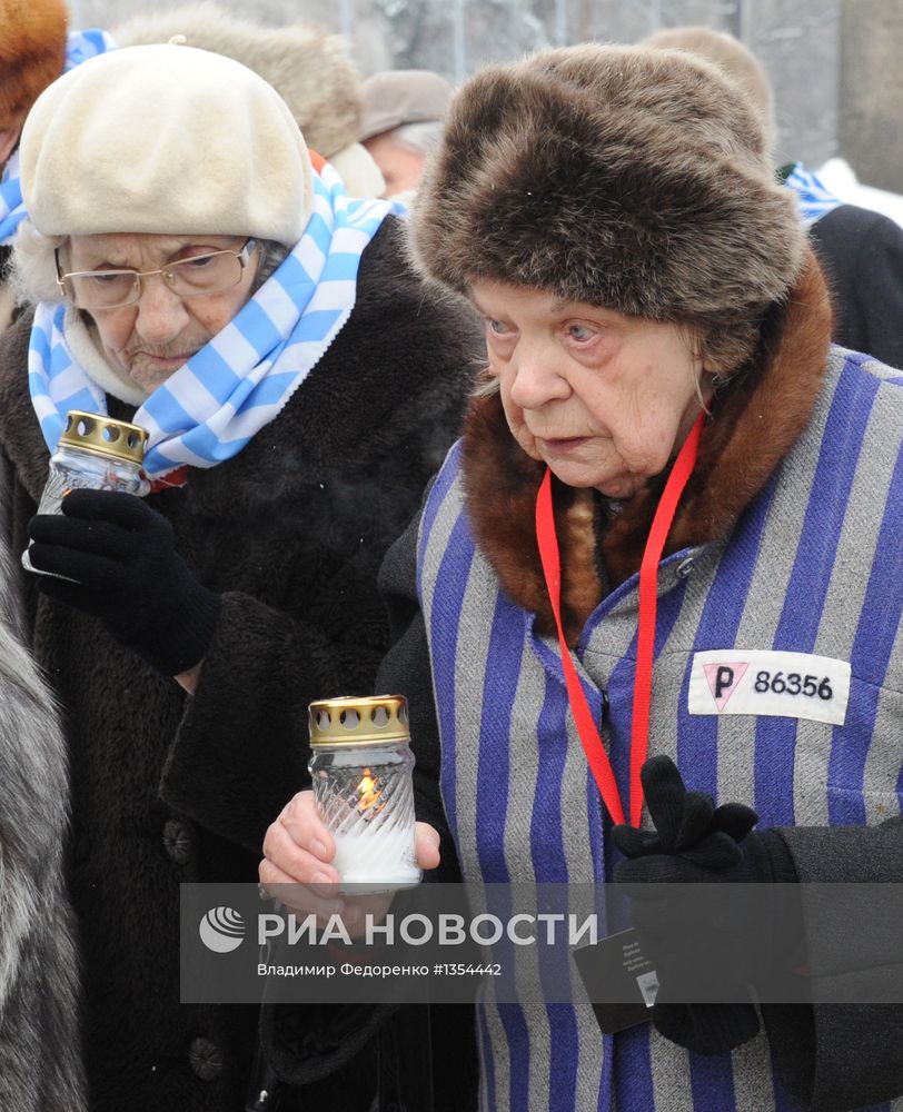 Мероприятия, посвященные 68-й годовщине освобождения Освенцима