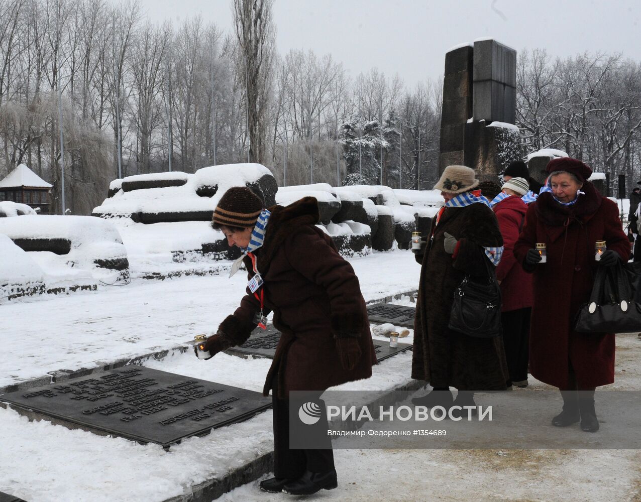 Мероприятия, посвященные 68-й годовщине освобождения Освенцима