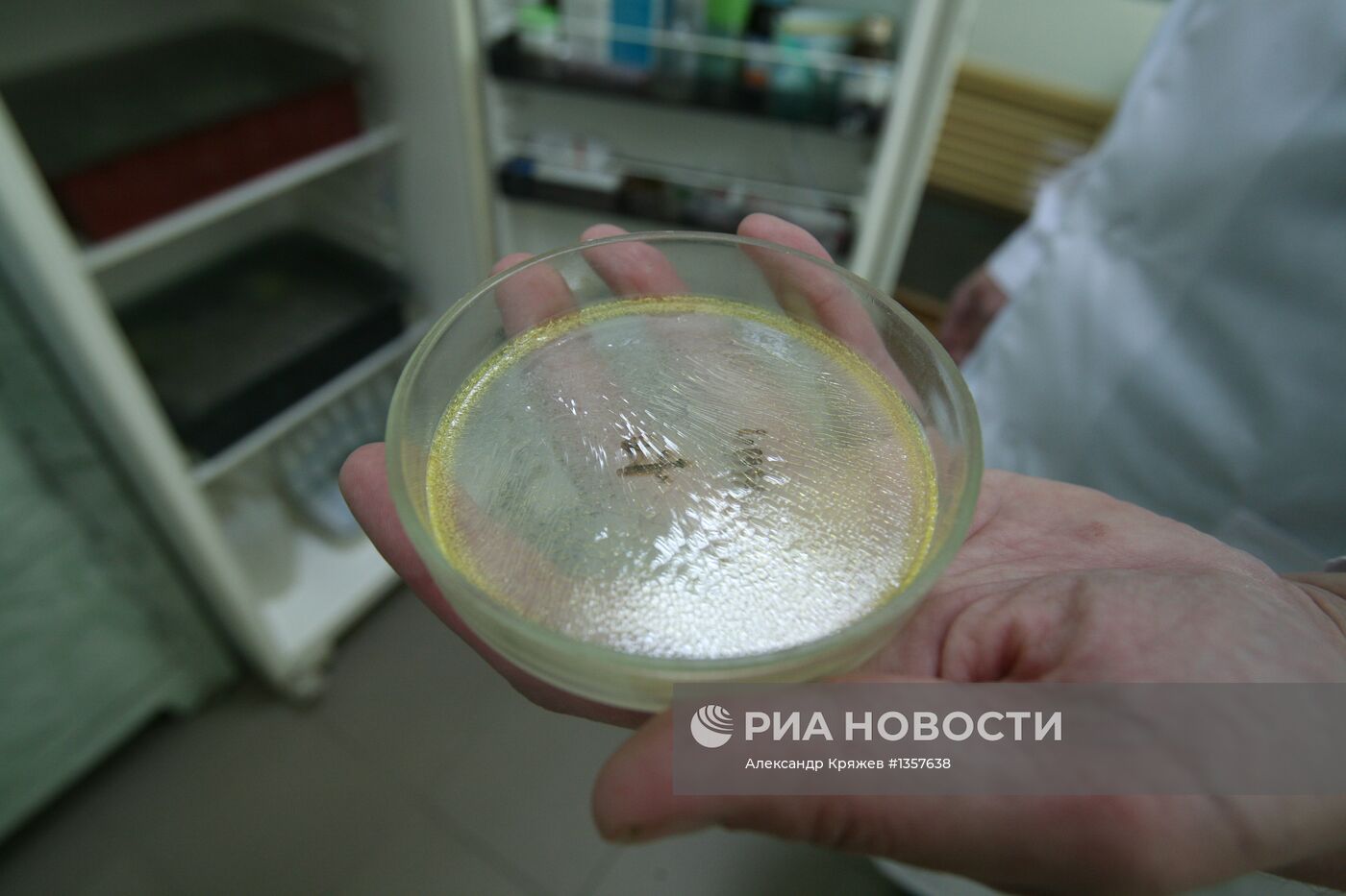 Работа новосибирского серпентария