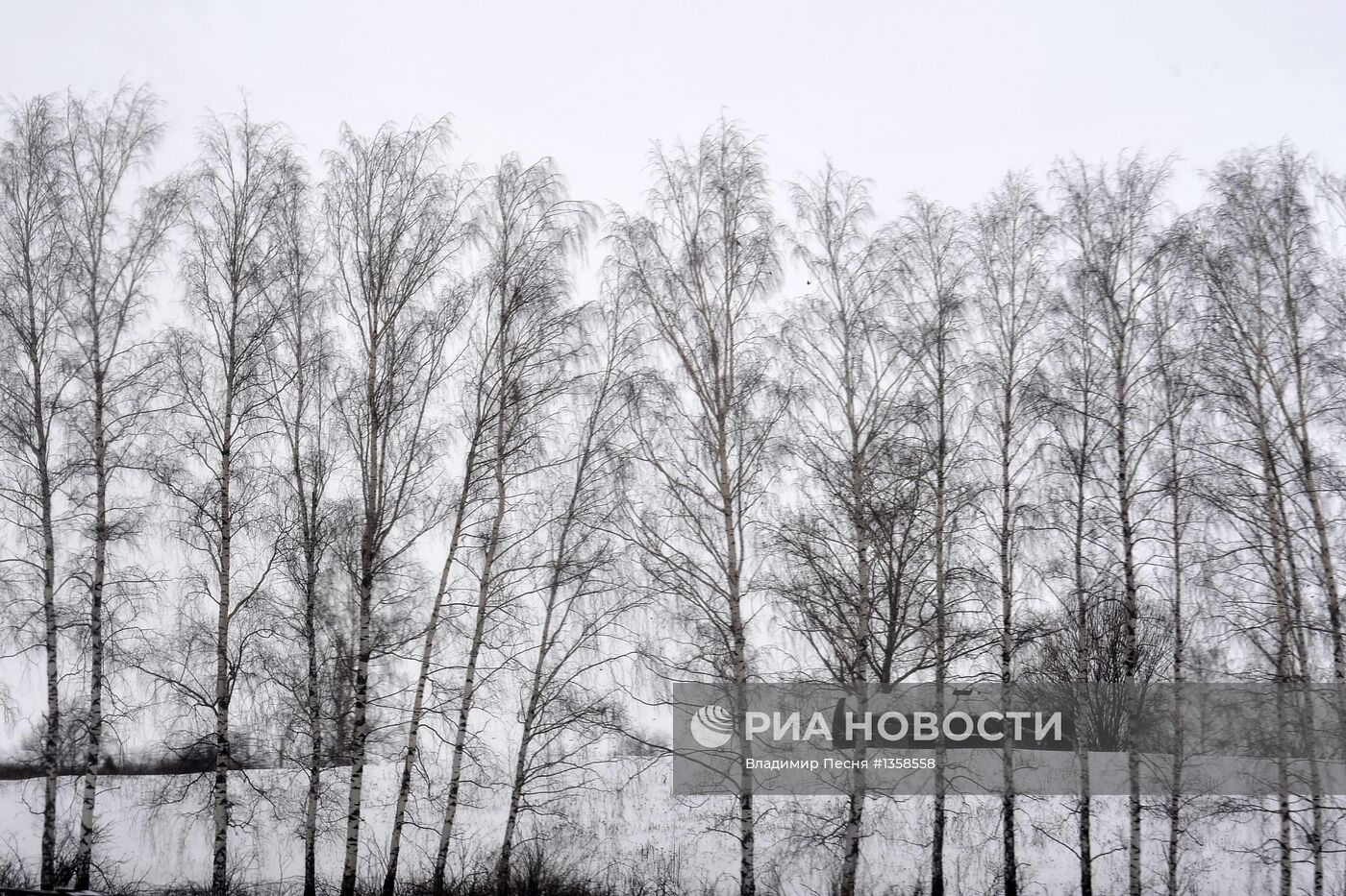 Путешествие из Москвы в Сочи на поезде