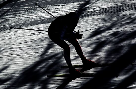 Лыжные гонки. VIII этап Кубка мира. Командный спринт. Женщины