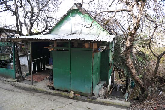 Улица Лысая гора в Сочи и ее окрестности