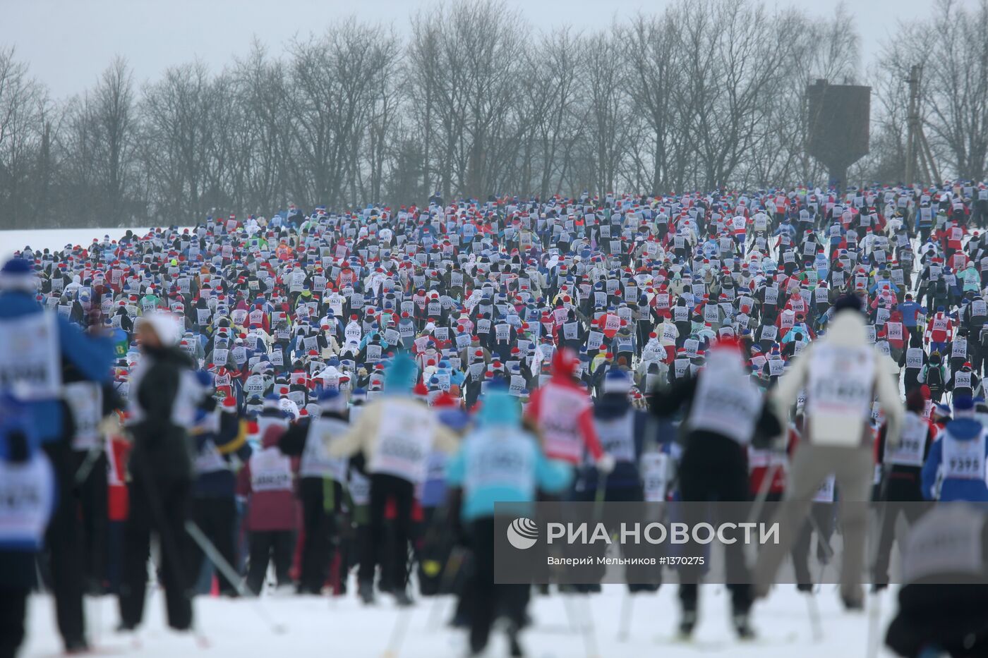 Всероссийская массовая гонка "Лыжня России – 2013"