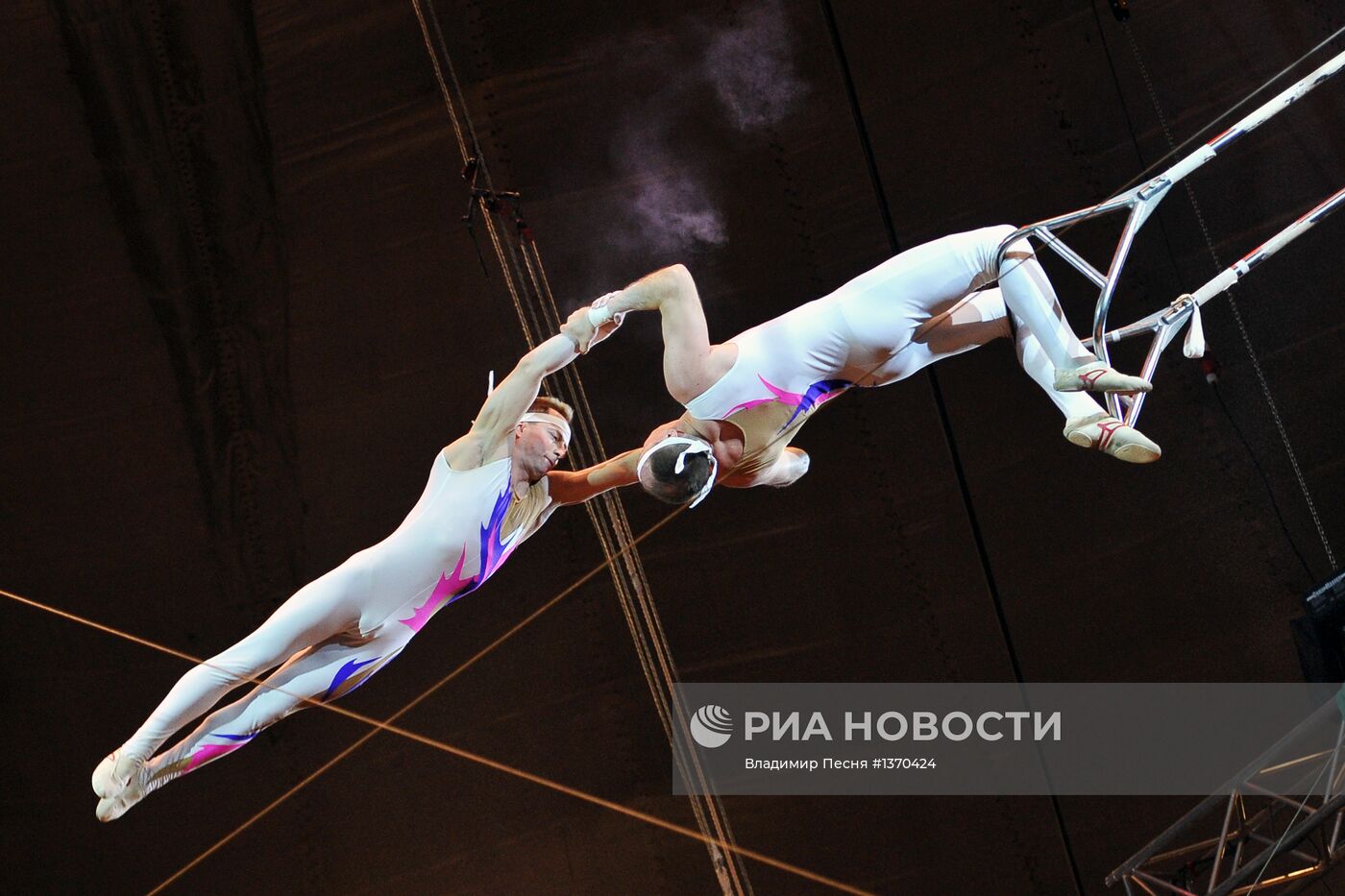 Представления в Сочинском государственном цирке