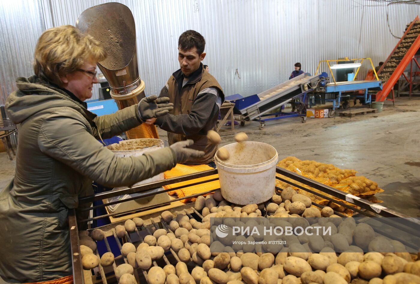 Работа ООО "Овощи Калининграда"