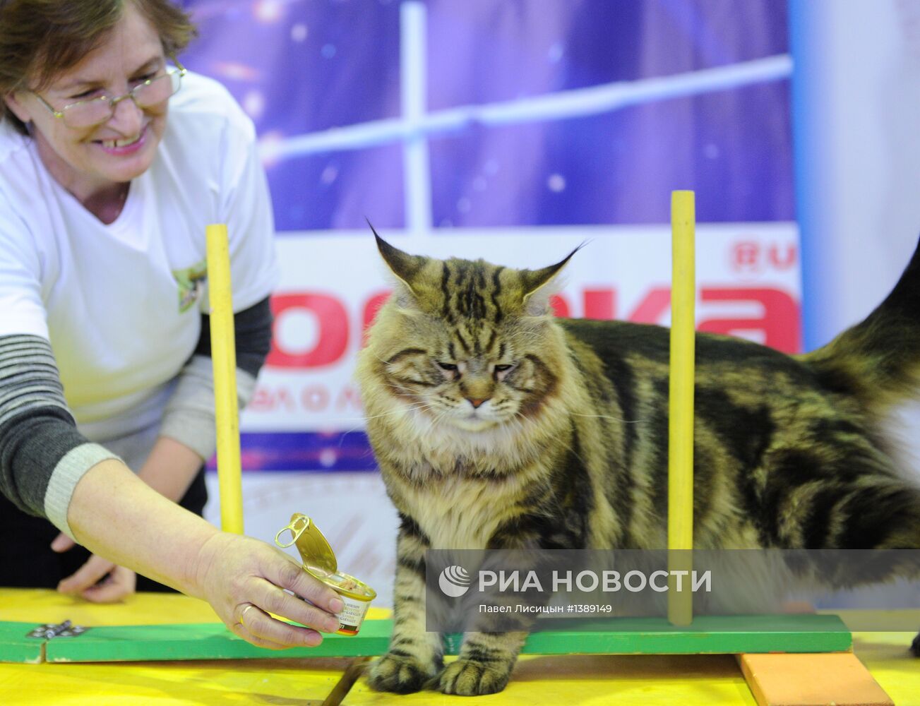 Международная выставка кошек в Екатеринбурге