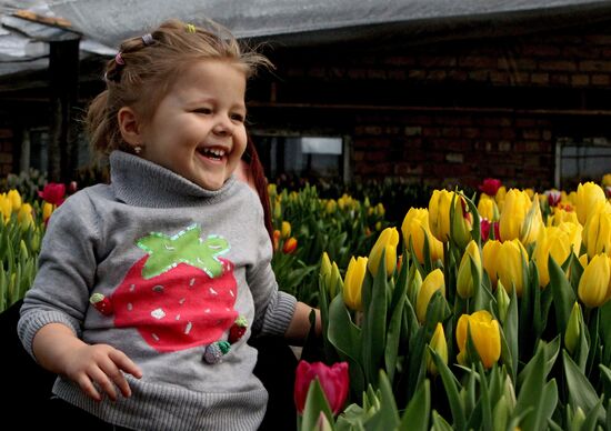 День открытых дверей в теплице с тюльпанами во Владивостоке