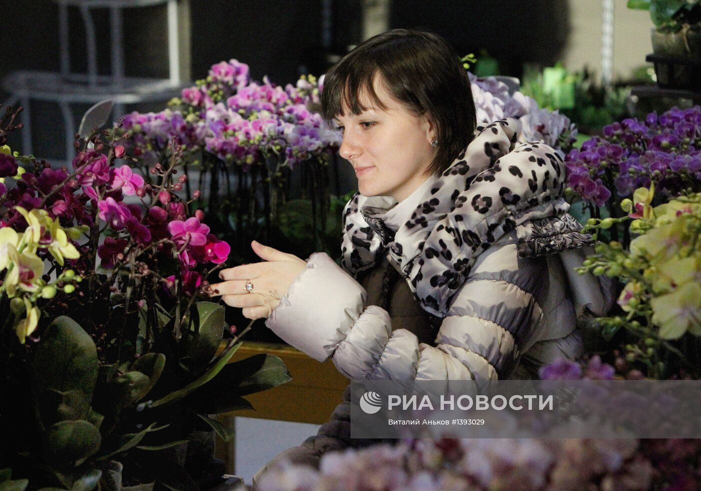 "Цветочный центр" во Владивостоке