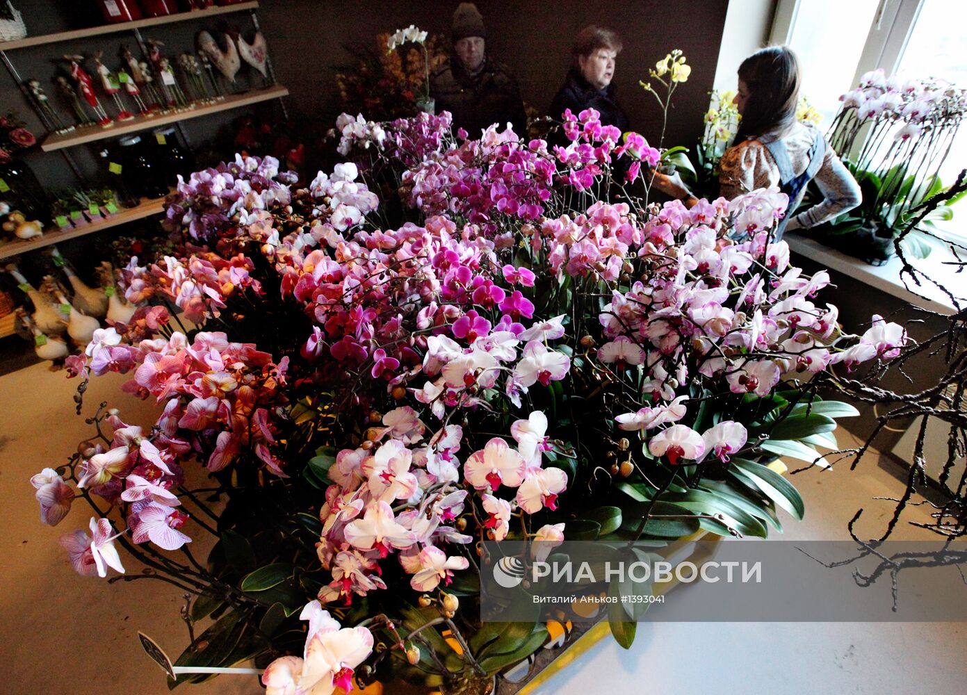 "Цветочный центр" во Владивостоке