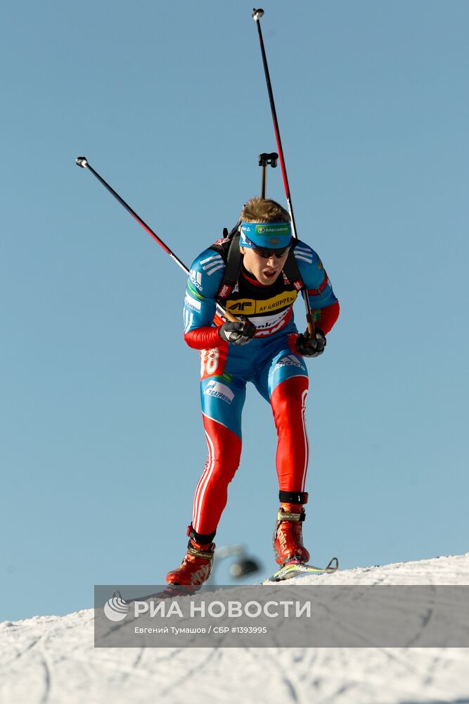 Биатлон. VII этап Кубка мира. Мужчины. Спринт