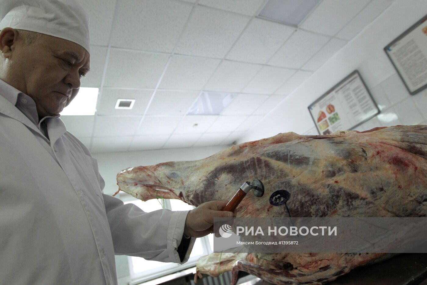 Санитарно-ветеринарный контроль мяса в Казани