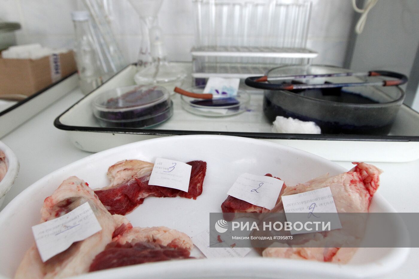 Санитарно-ветеринарный контроль мяса в Казани