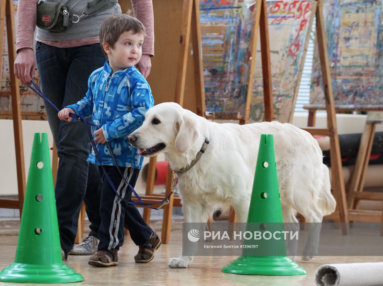 Занятия канистерапией в Москве