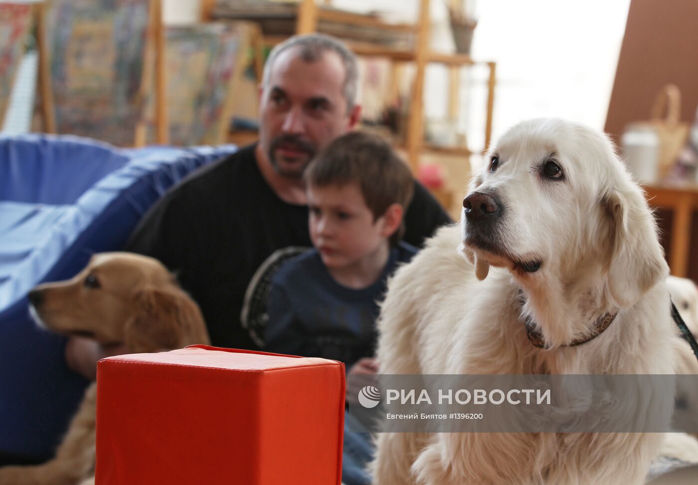 Занятия канистерапией в Москве