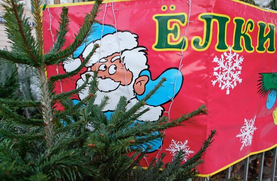 ПРОДАЖА НОВОГОДНИХ ЕЛОК