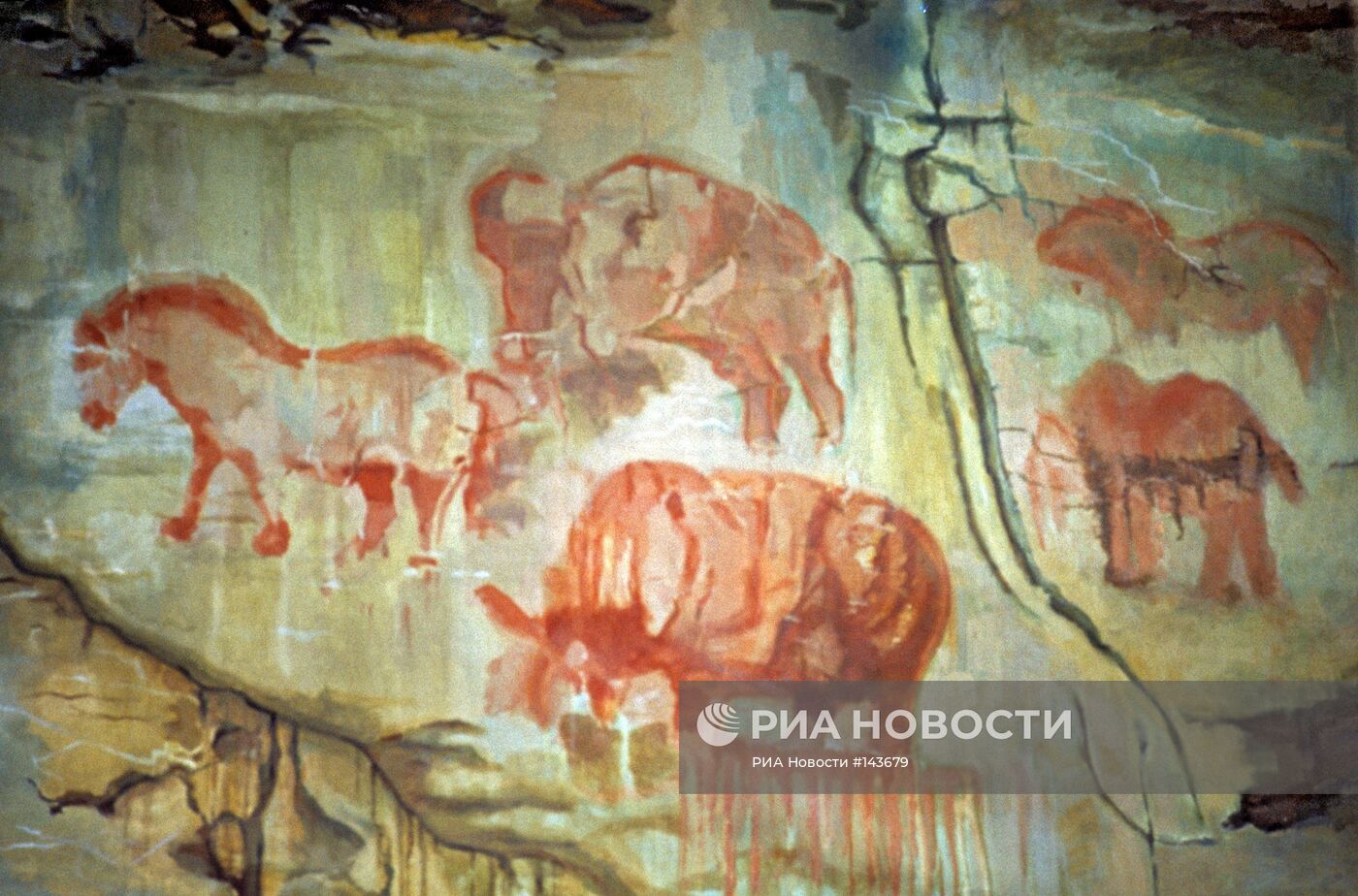 Наскальные рисунки в пещере Шульган-Таш