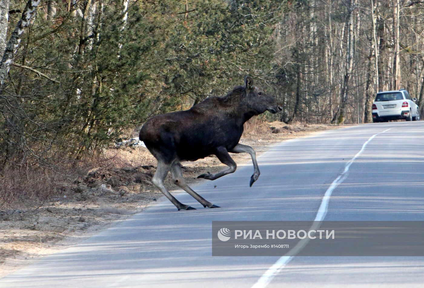 Национальный парк "Куршская коса"