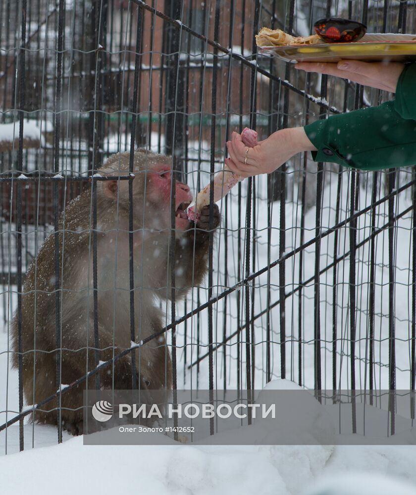 "Звериная масленица" в Нижегородском зоопарке "Лимпопо"