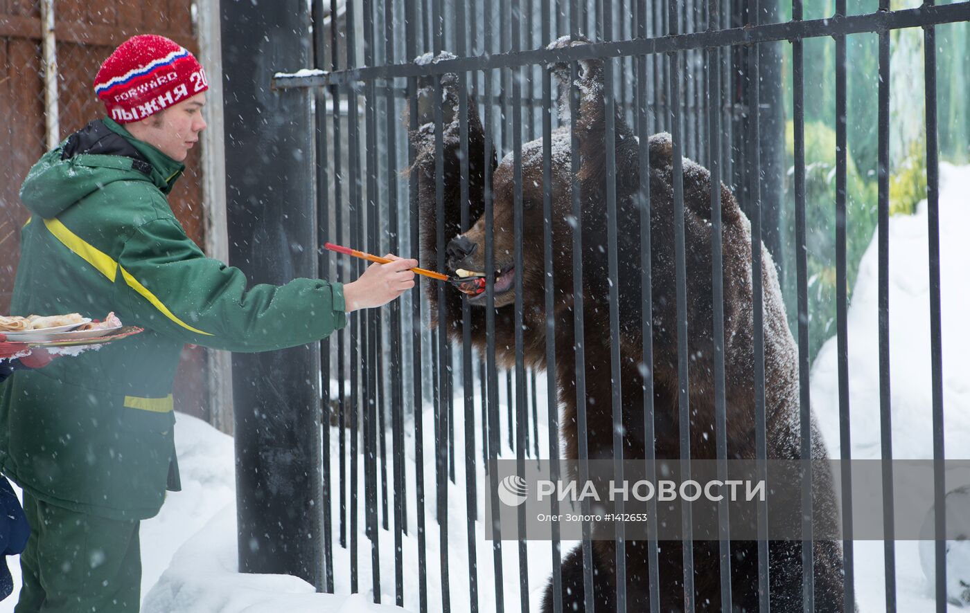 "Звериная масленица" в Нижегородском зоопарке "Лимпопо"