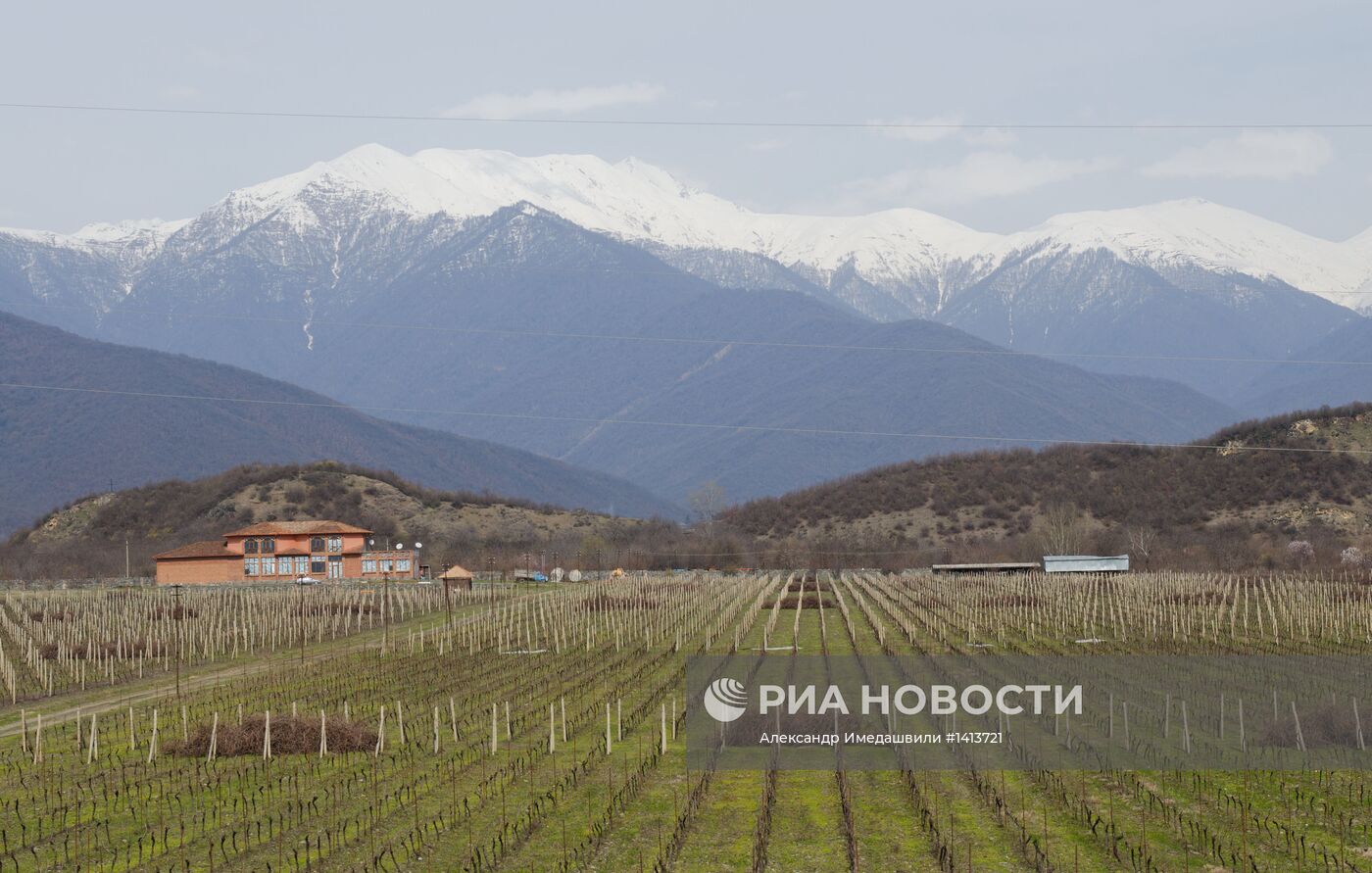 Кахетия - родина грузинского вина