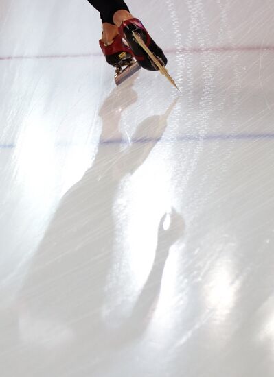 Конькобежный спорт. Чемпионат мира. 10000 метров. Мужчины