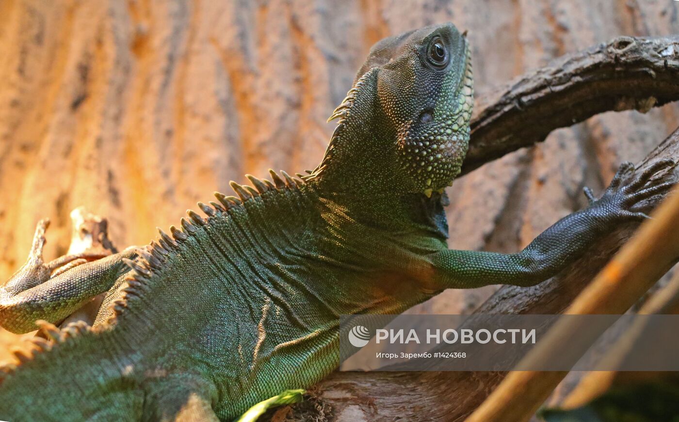 Открытие экзотариума в Калининграде