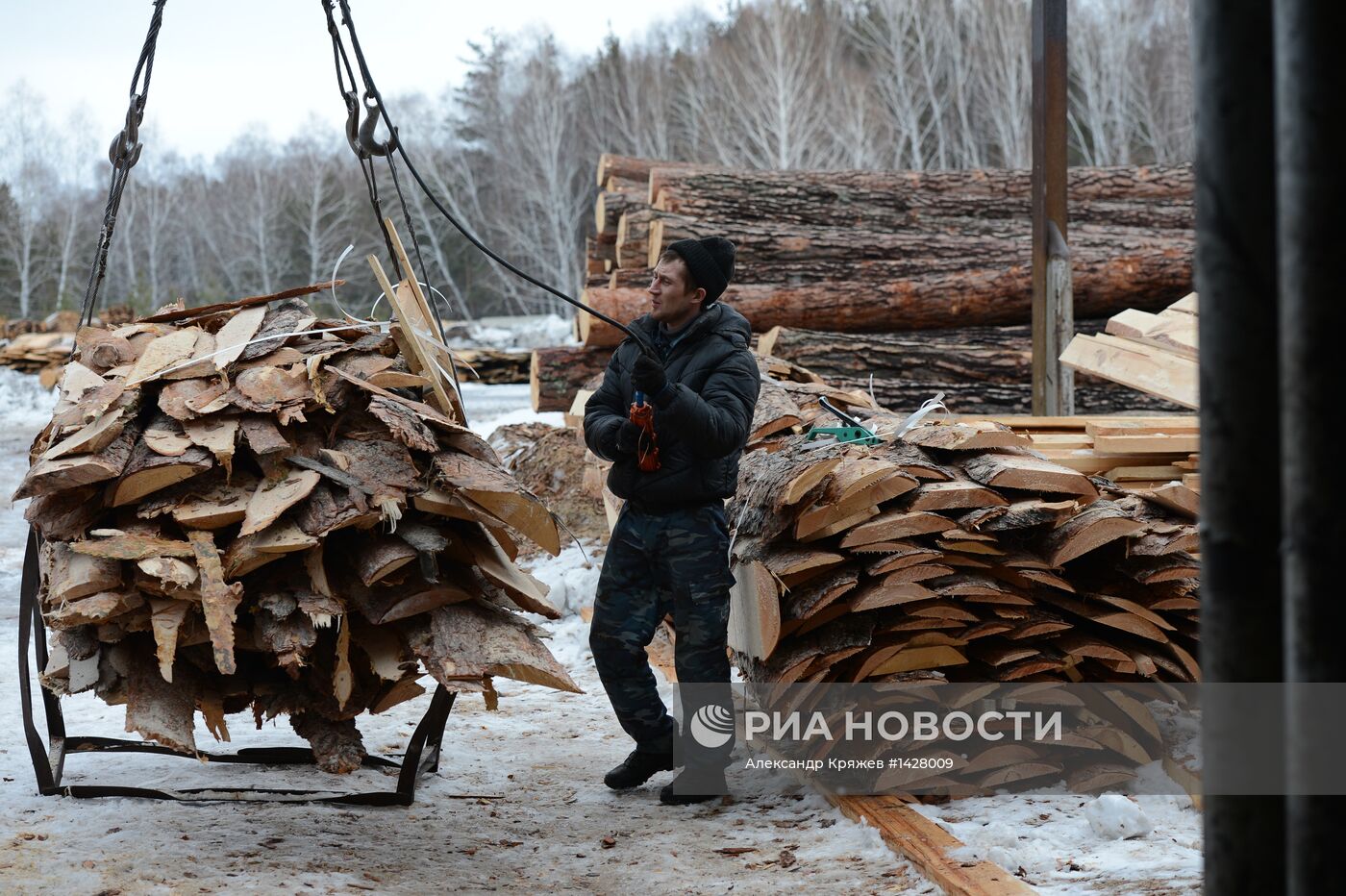 Заготовка леса в Новосибирской области