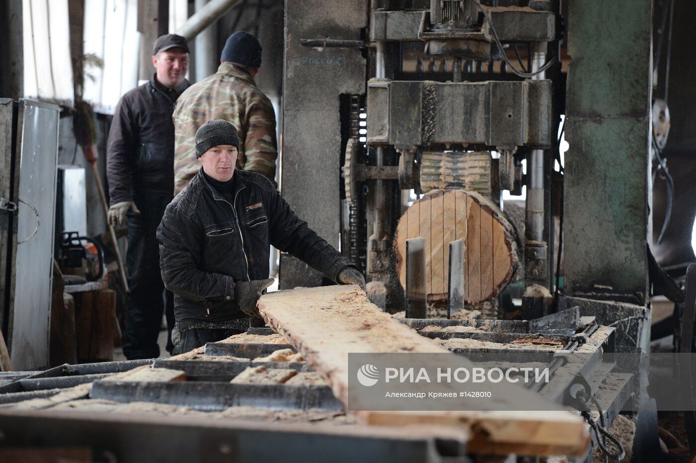 Заготовка леса в Новосибирской области