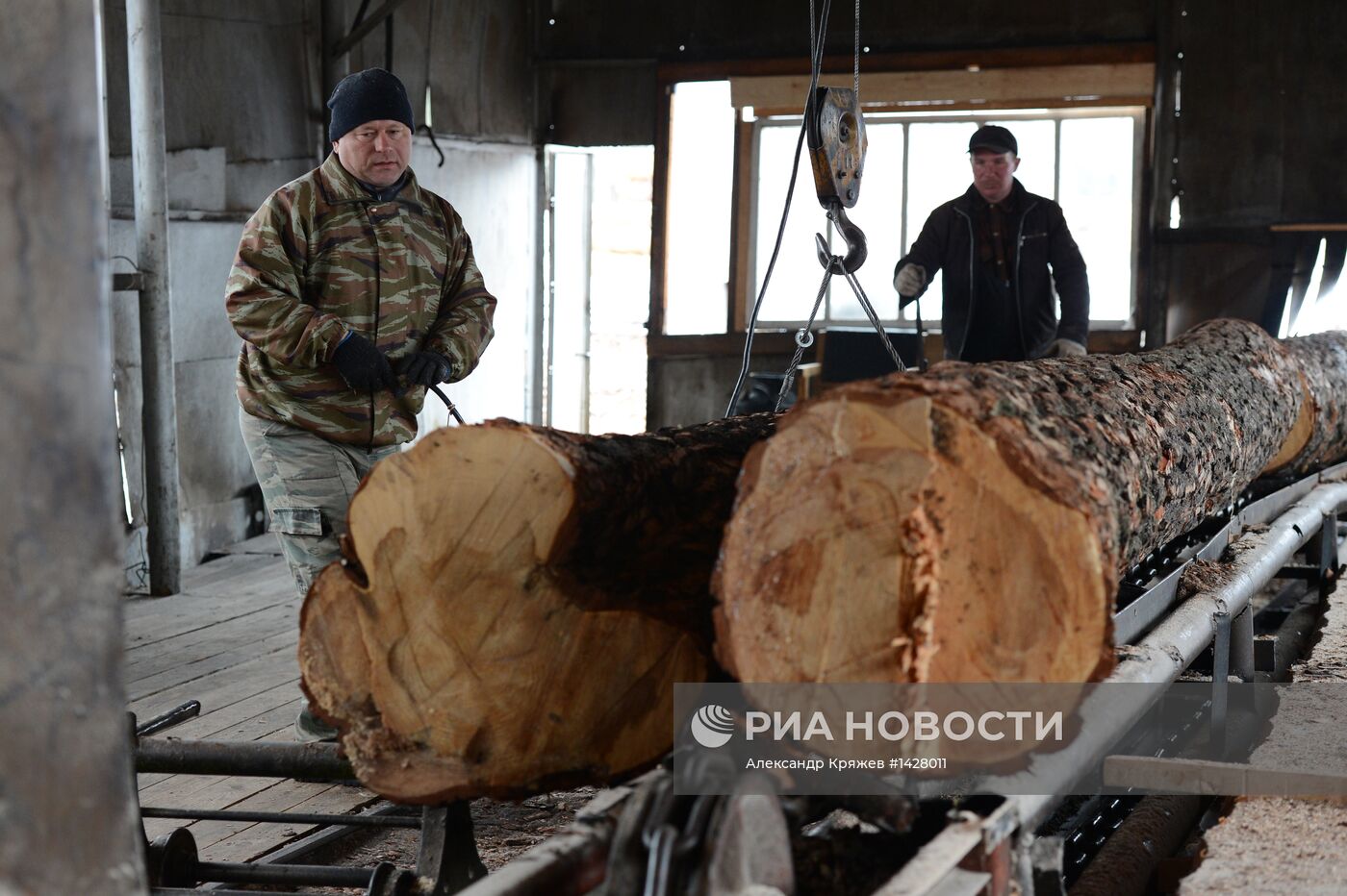 Заготовка леса в Новосибирской области