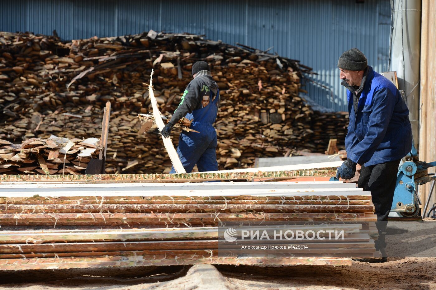 Заготовка леса в Новосибирской области