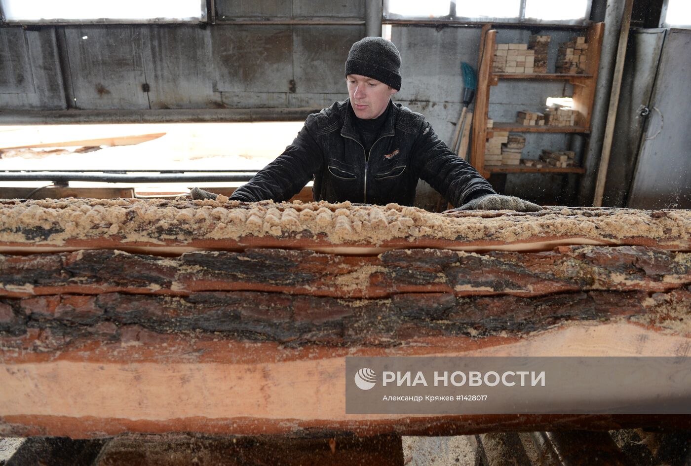 Заготовка леса в Новосибирской области