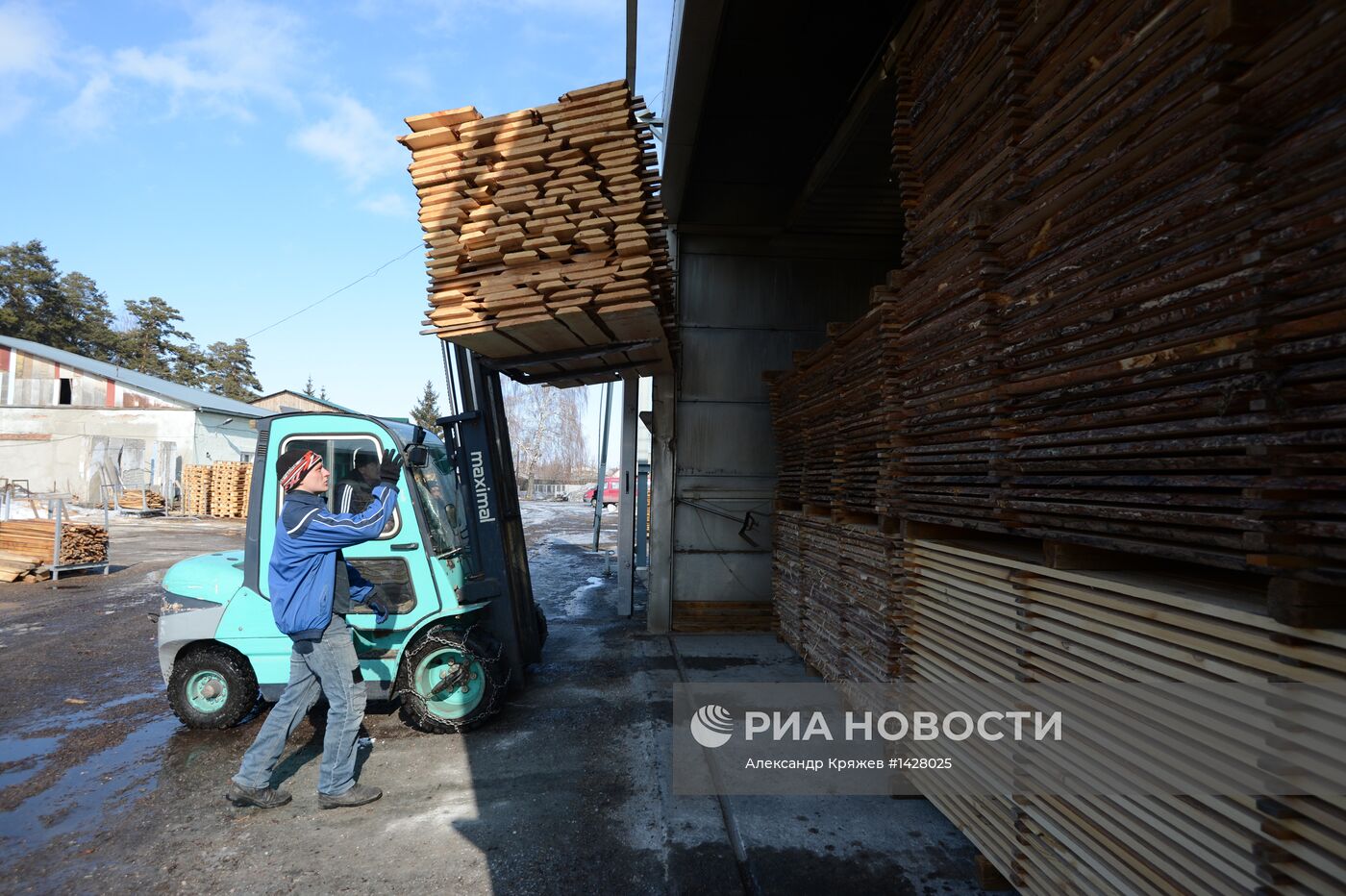 Заготовка леса в Новосибирской области