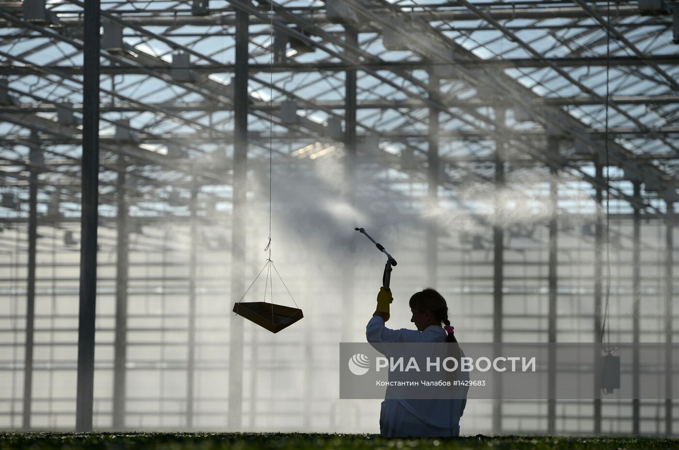 Работа "Новгородских теплиц"