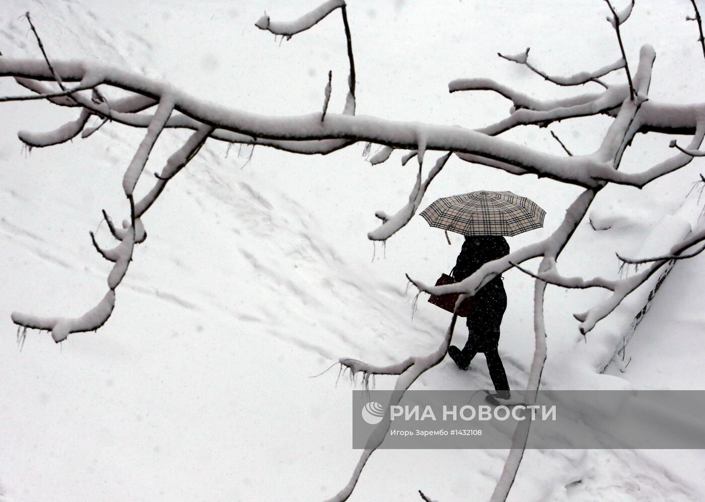 Апрельский снегопад в Калининграде