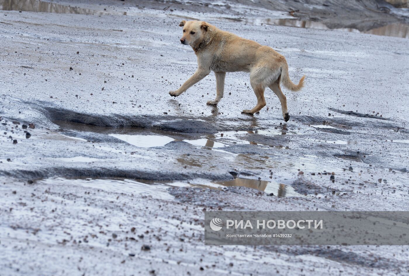 Разбитые дороги в Великом Новгороде