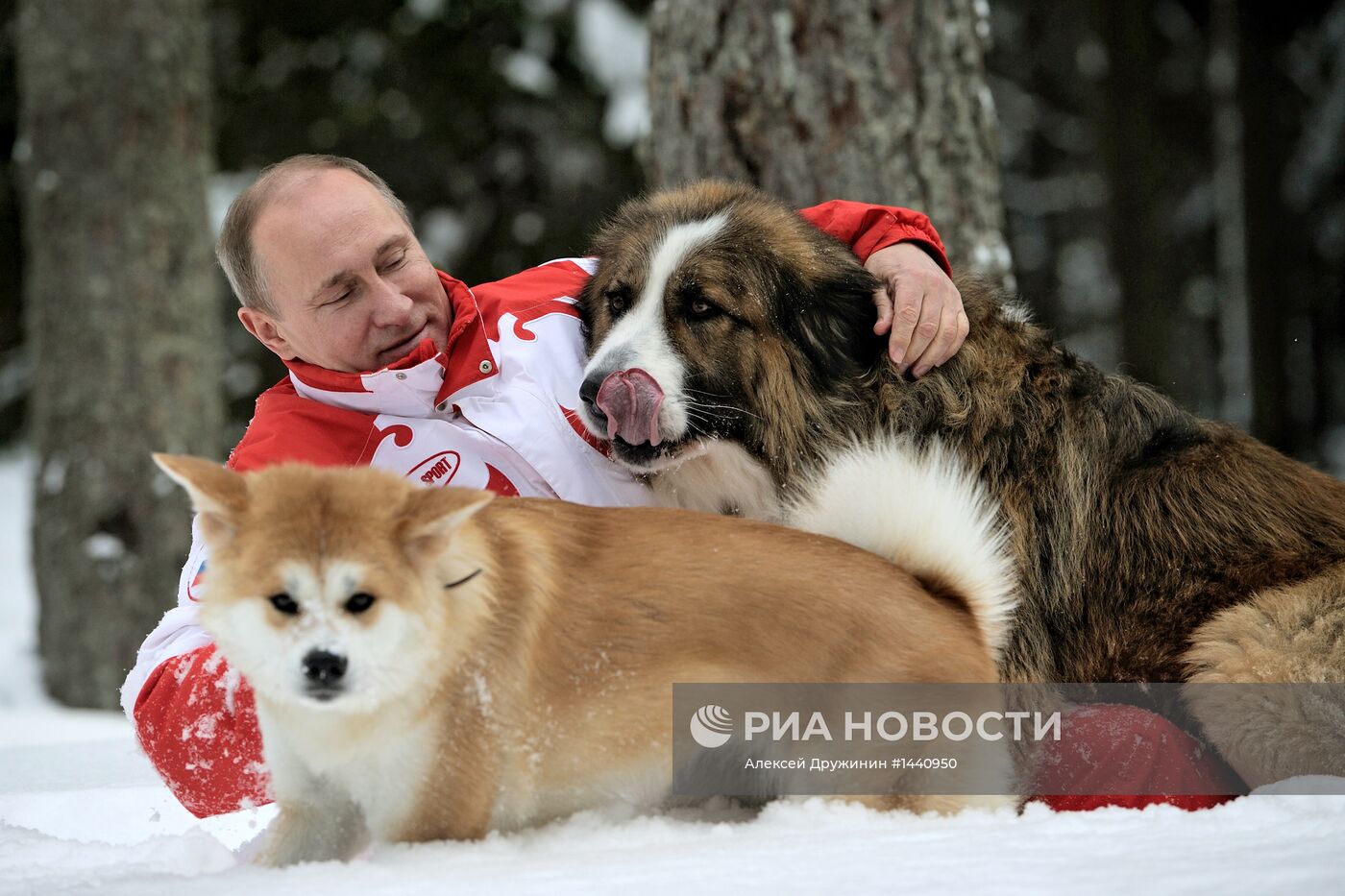 Прогулка В.Путина с собаками в Московской области