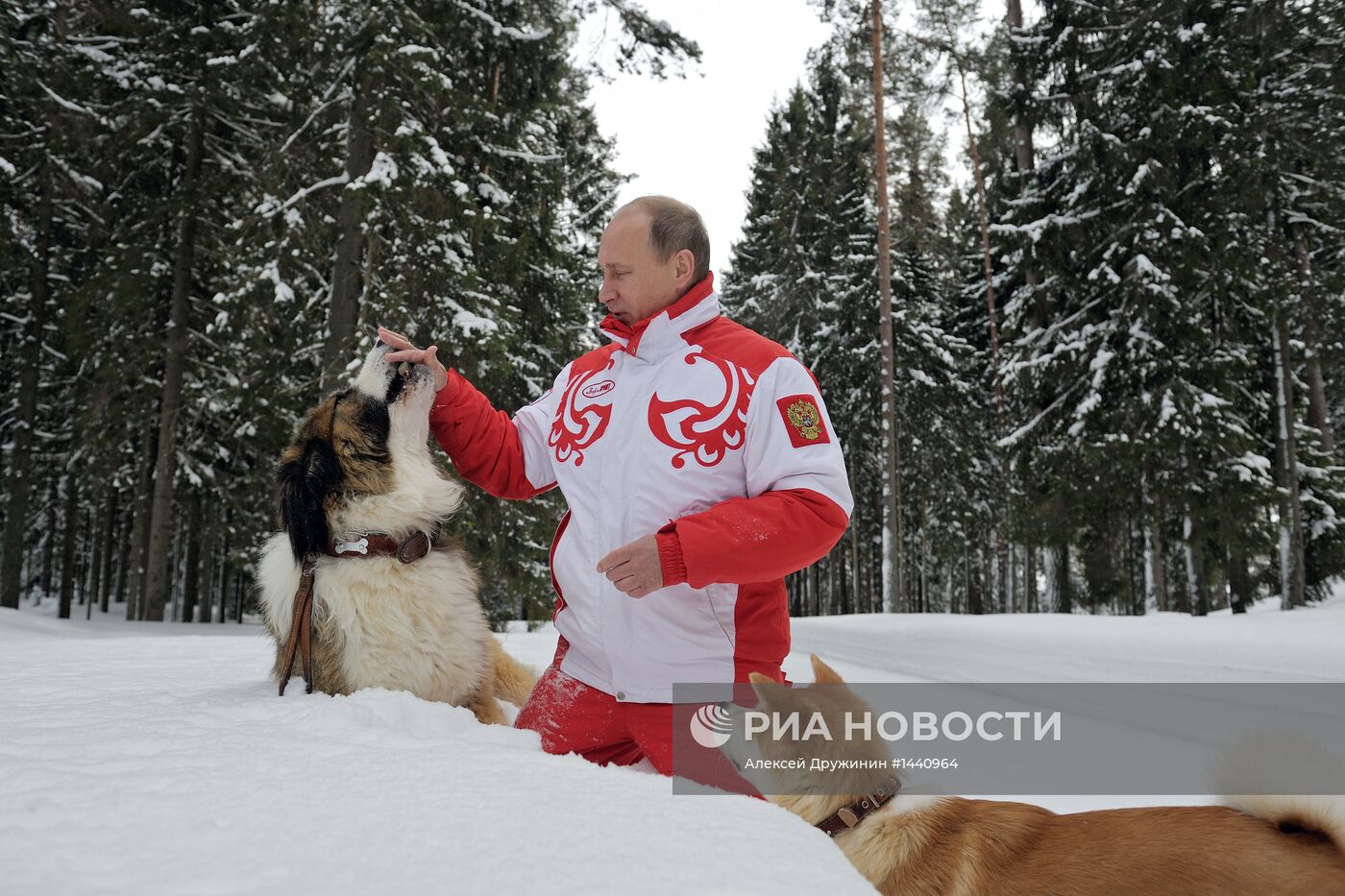 Прогулка В.Путина с собаками в Московской области