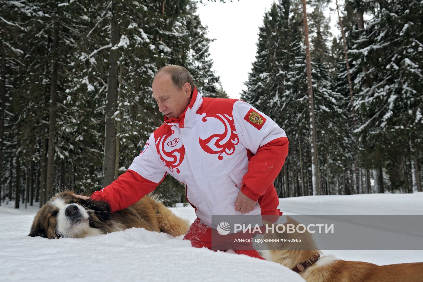 Прогулка В.Путина с собаками в Московской области