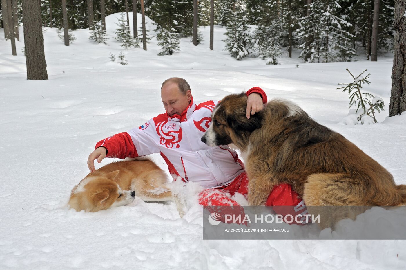 Прогулка В.Путина с собаками в Московской области