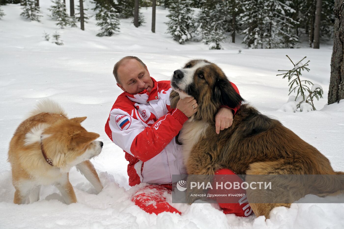 Прогулка В.Путина с собаками в Московской области