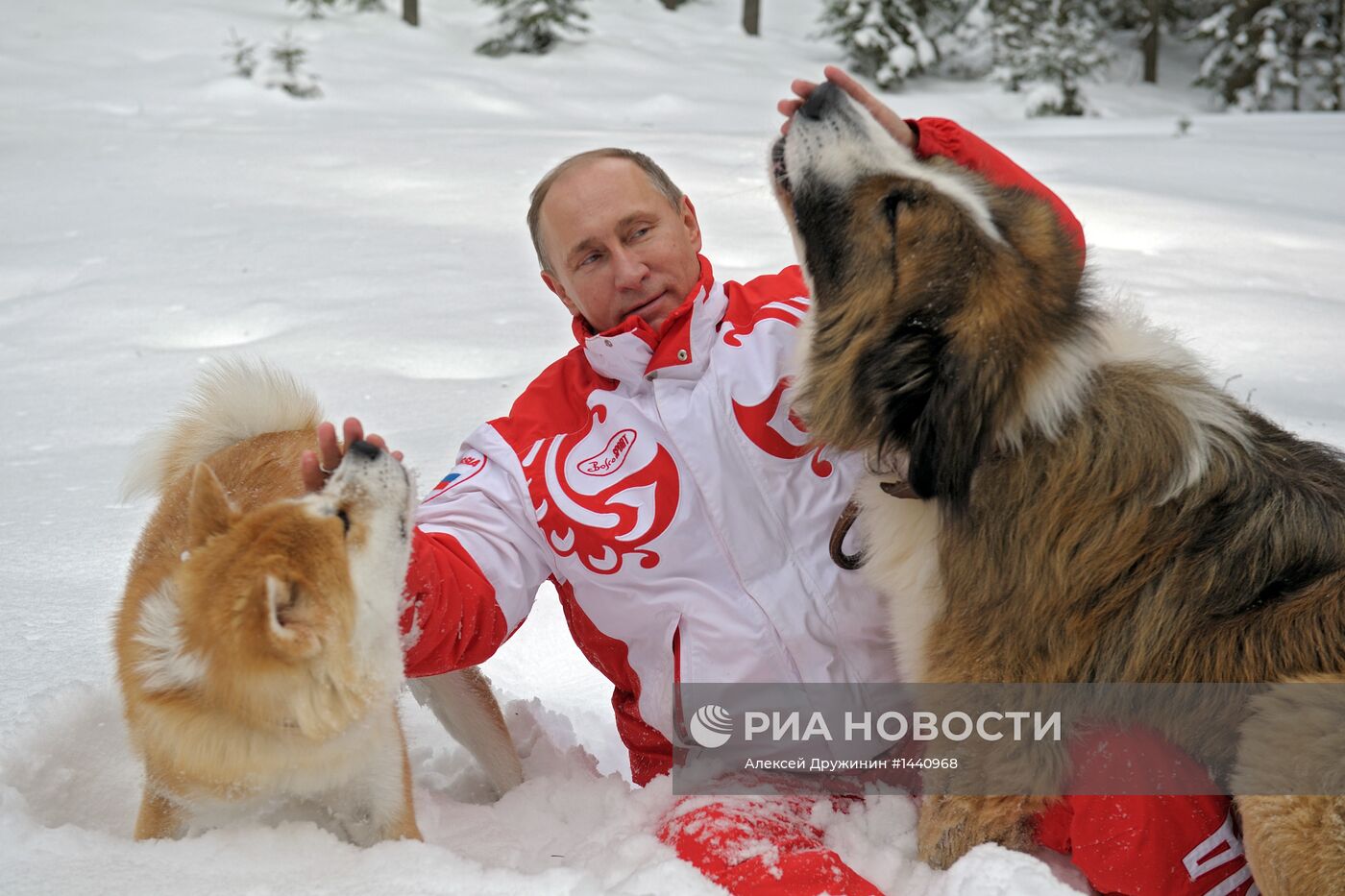 Прогулка В.Путина с собаками в Московской области