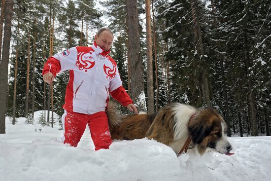 Прогулка В.Путина с собаками в Московской области
