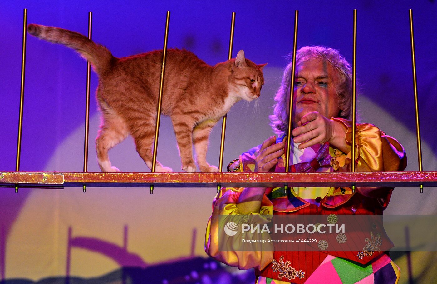 Открытие Театра кошек Куклачева после ремонта