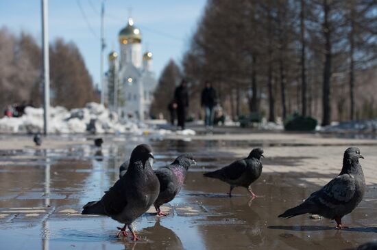 Весенним днем в Новосибирске