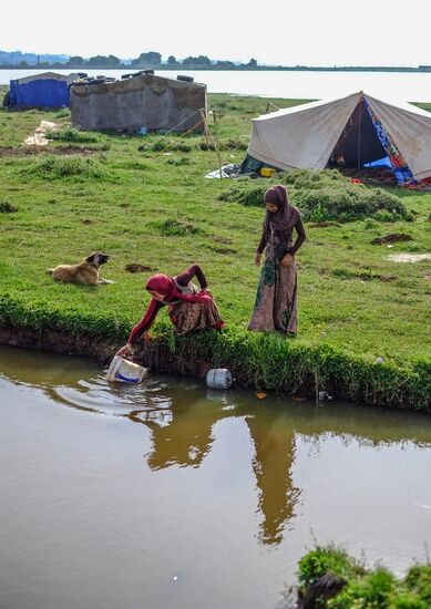 Сирийские беженцы в Ливане