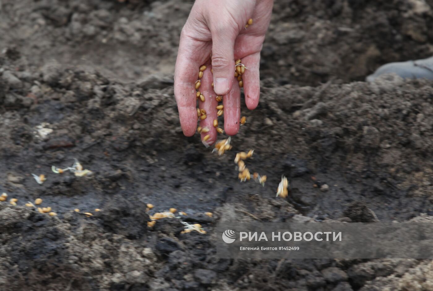 Весенние субботники в Москве