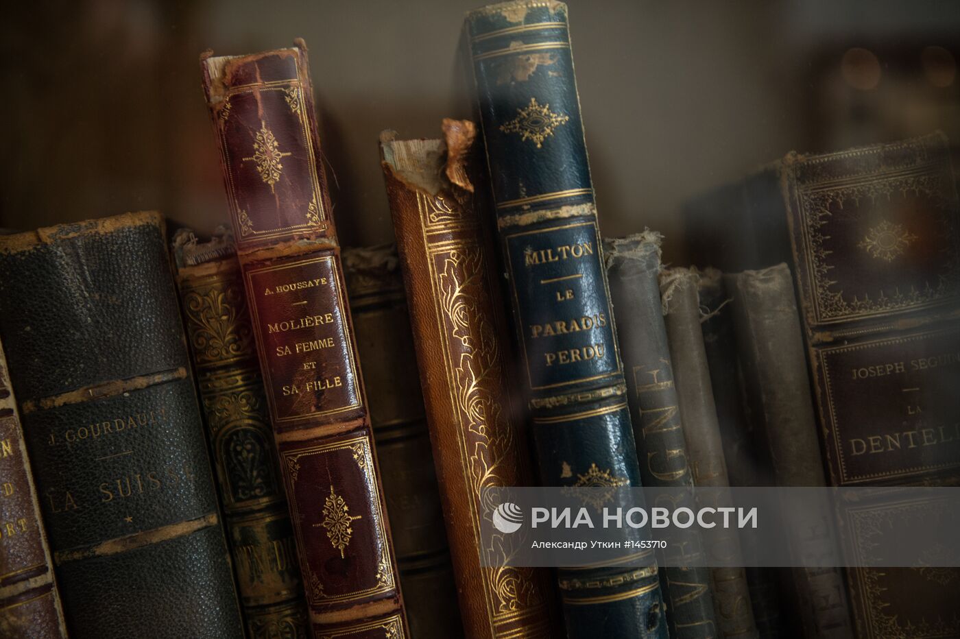 Работа Российской государственной библиотеки искусств