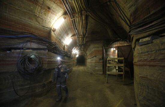 "Беларуськалий" увеличит мощности по выпуску сложных удобрений